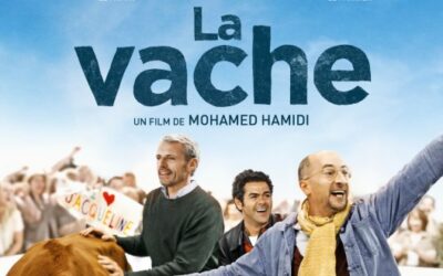 Soirée cinéma